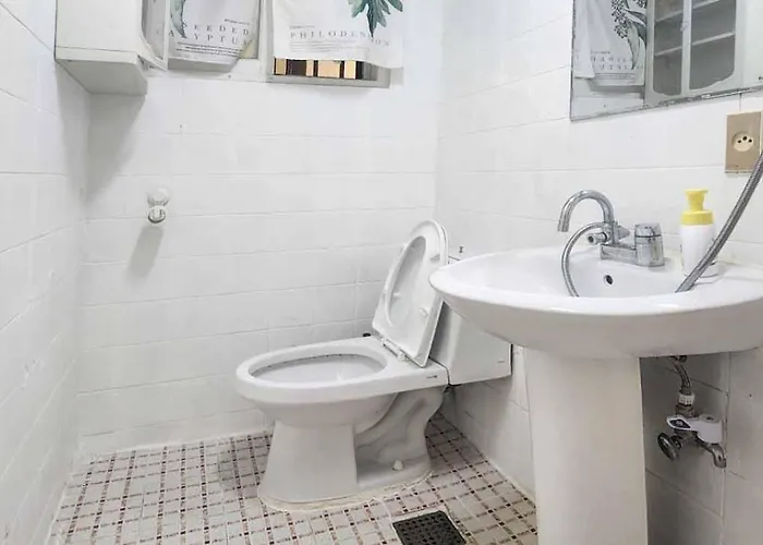 경북궁의 아침, 대통령궁 옆 Apartamento
